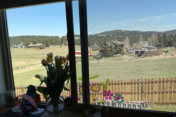 House sit in Indian Hills, CO, US