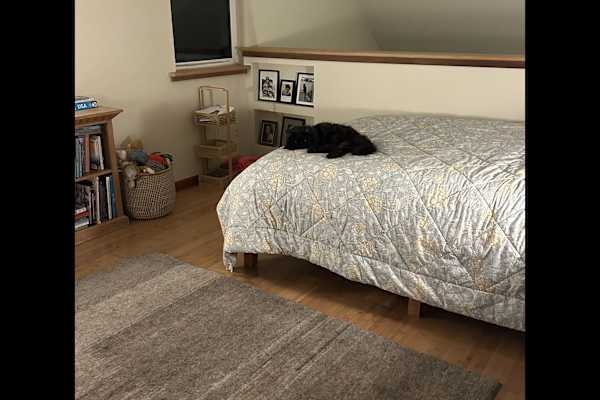 House sit in Port Townsend, WA, US