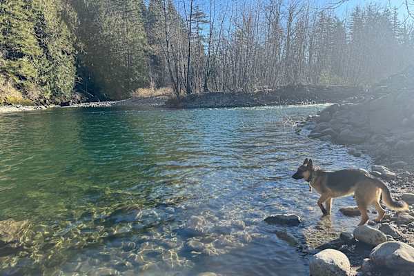 House sit in North Bend, WA, US