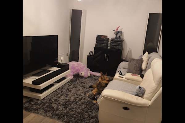 House sit in Weeton, United Kingdom