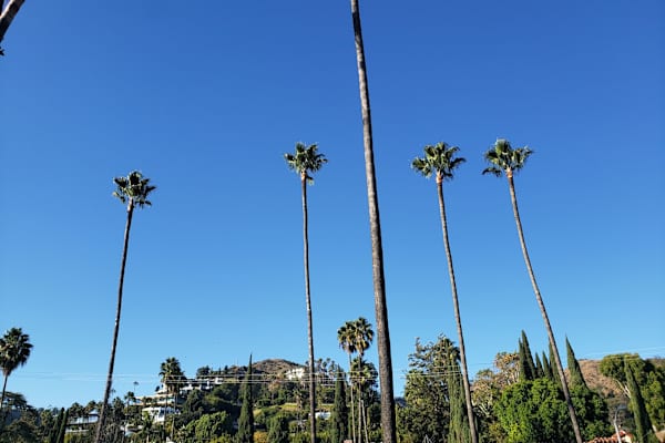 House sit in West Hollywood, CA, US