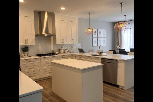 House sit in Calgary, AB, Canada