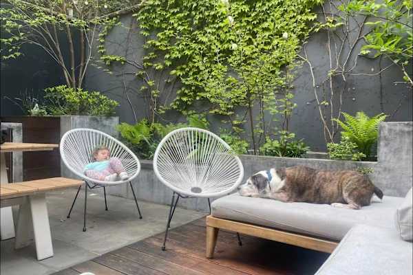 House sit in Brooklyn, NY, US