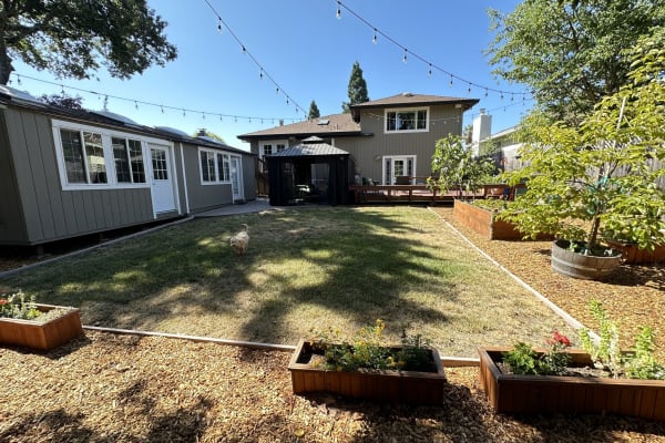 House sit in Windsor, CA, US