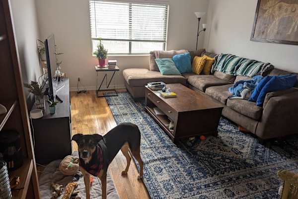 House sit in Salt Lake City, UT, US