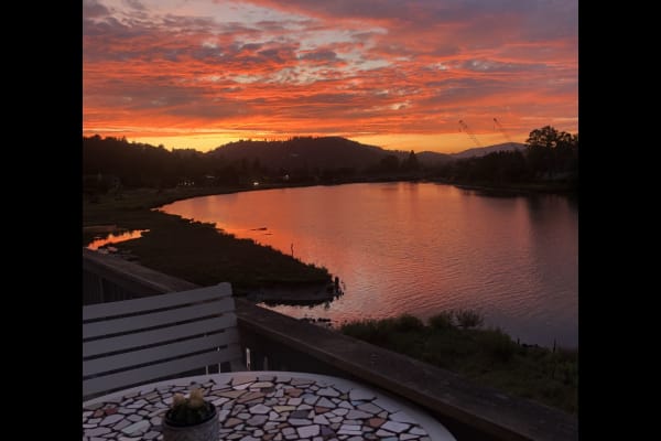 House sit in Larkspur, CA, US