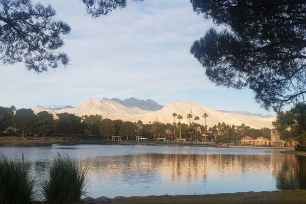 House sit in Summerlin South, NV, US