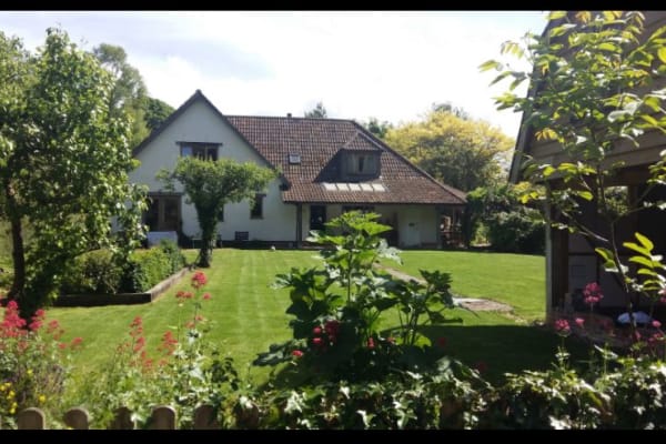 House sit in Langport, United Kingdom
