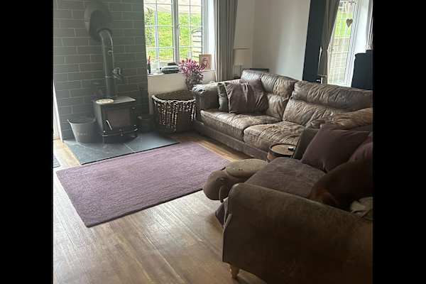 House sit in Hastings, United Kingdom