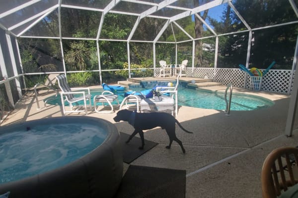 House sit in Saint Augustine, FL, US