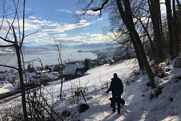 House sit in Oberrieden, Switzerland