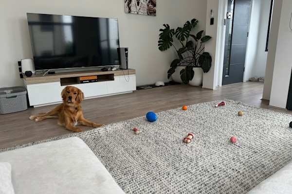 House sit in Sydney, NSW, Australia