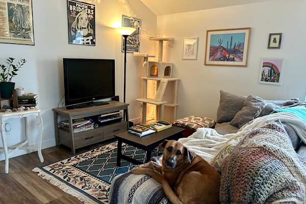 House sit in Missoula, MT, US