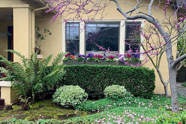 House sit in Oakland, CA, US