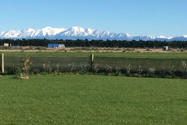 House sit in West Eyreton, New Zealand