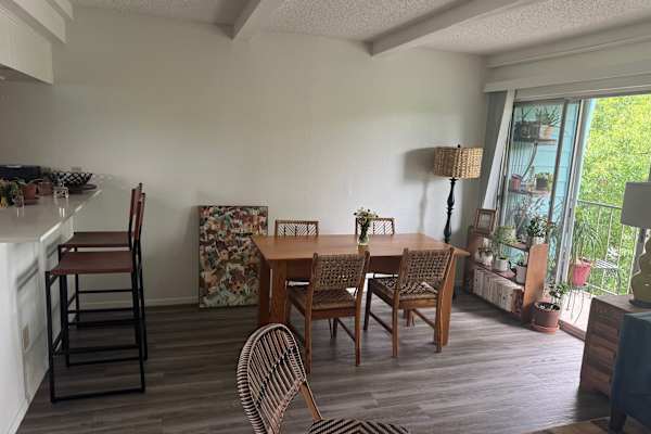 House sit in Austin, TX, US