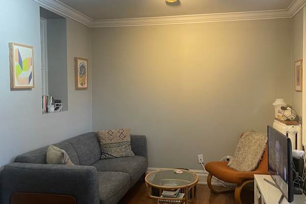 House sit in Toronto, ON, Canada