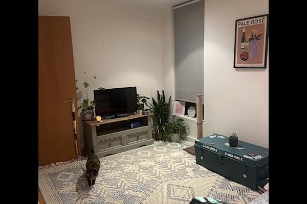 House sit in Manchester, United Kingdom