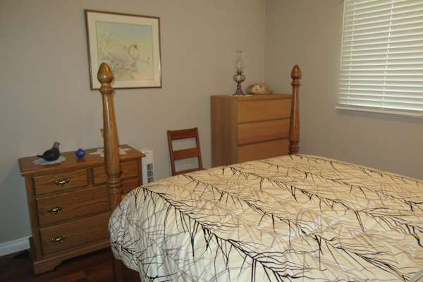 House sit in Kingston, ON, Canada