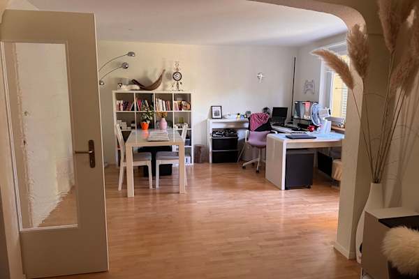 House sit in Mellingen, Switzerland