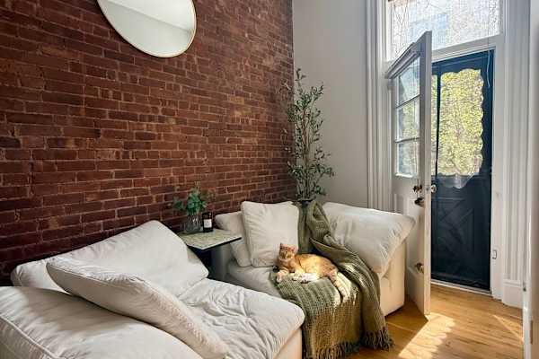 House sit in New York City, NY, US