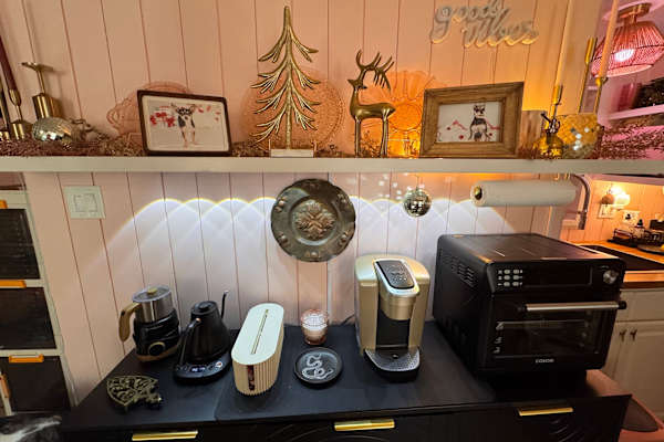 House sit in Pensacola, FL, US