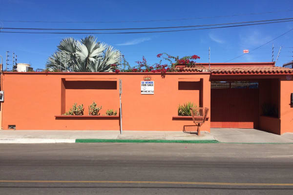 House sit in La Paz, Mexico