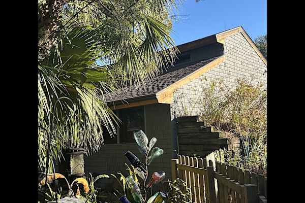 House sit in Saint Simons Island, GA, US