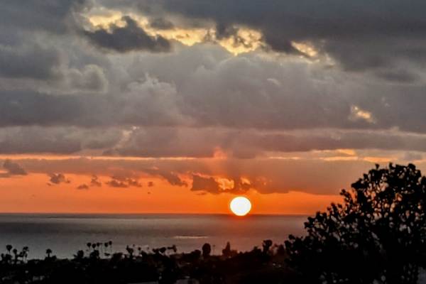 House sit in San Clemente, CA, US