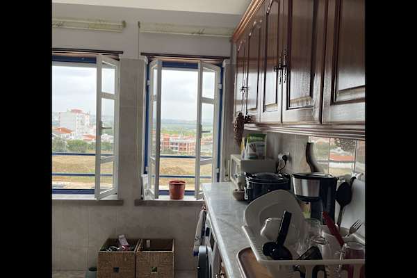 House sit in Bombarral, Portugal