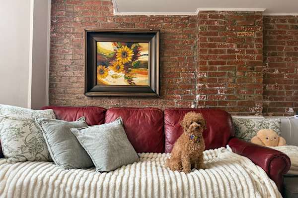 House sit in Jersey City, NJ, US