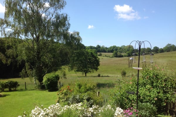 House sit in Lymington, United Kingdom