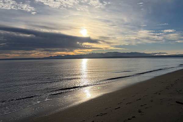 House sit in Freeland, WA, US