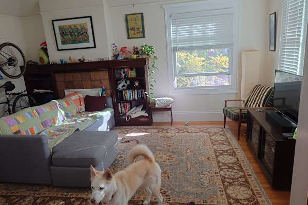 House sit in Oakland, CA, US