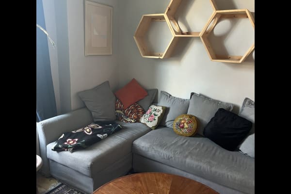 House sit in Montréal, QC, Canada