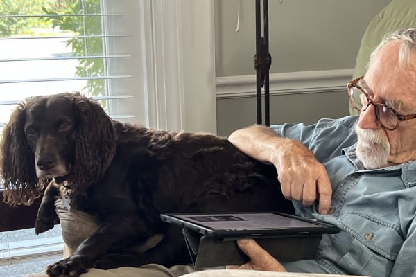 House sit in Harrisonburg, VA, US