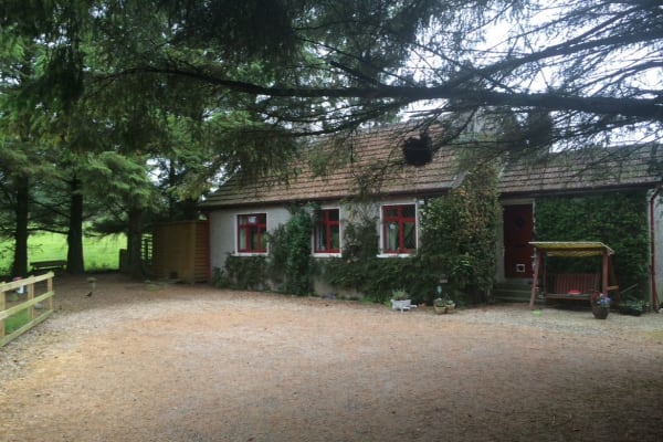 House sit in Dunlavin, Ireland