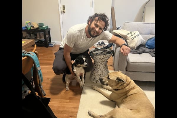 House sit in Brooklyn, NY, US