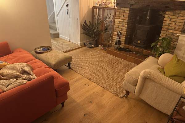 House sit in Hitchin, United Kingdom