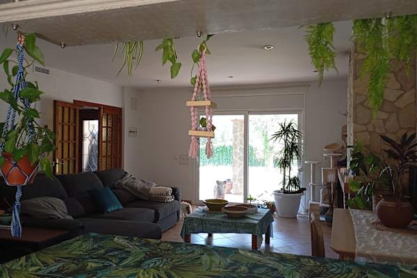 House sit in Llagostera, Spain