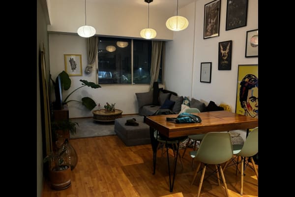 House sit in Mexico City, Mexico