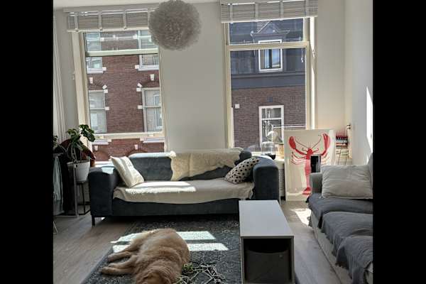 House sit in Ypenburg, Netherlands