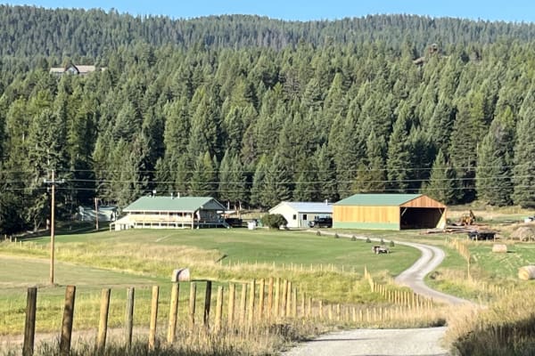 House sit in Whitefish, MT, US