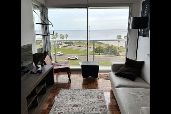 House sit in Montevideo, Uruguay