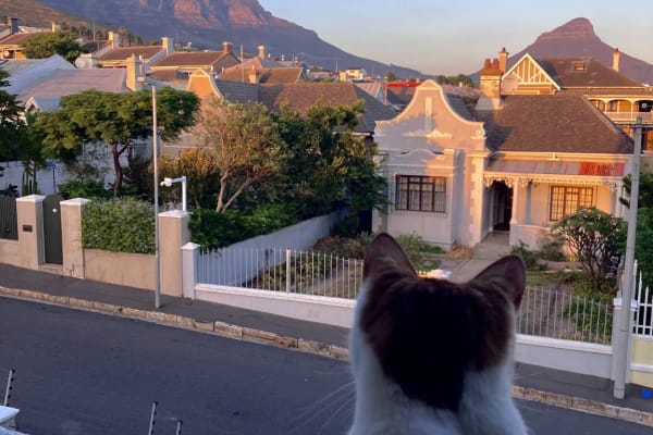 House sit in Cape Town, South Africa