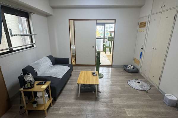 House sit in Tokyo, Japan