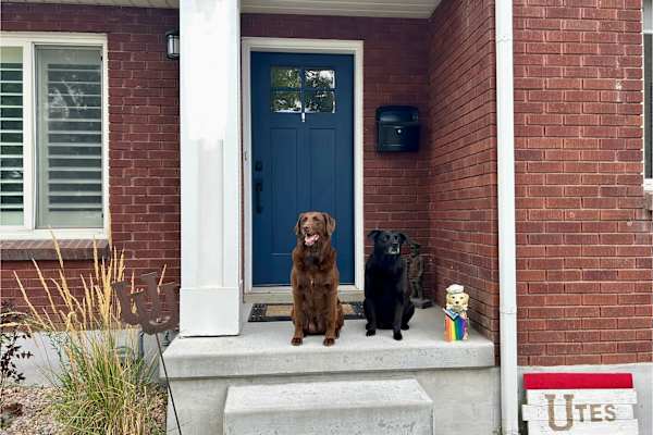 House sit in Salt Lake City, UT, US