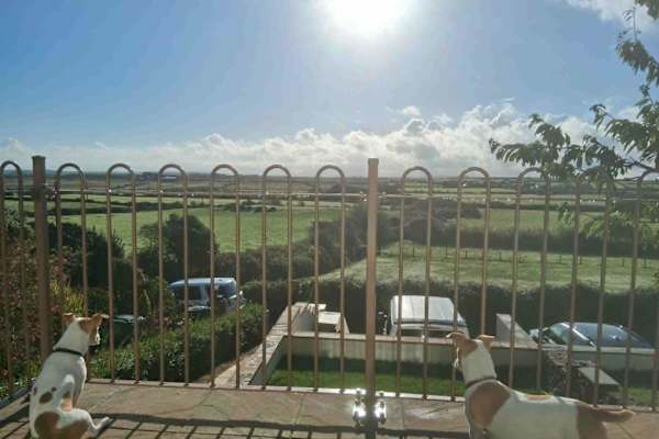 House sit in Ty Croes, United Kingdom