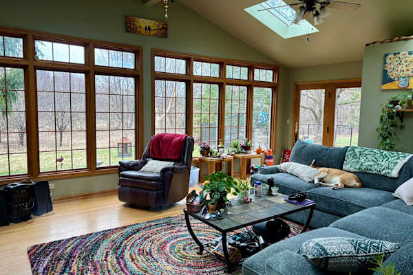 House sit in Bolingbrook, IL, US