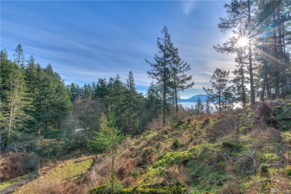 House sit in Eastsound, WA, US